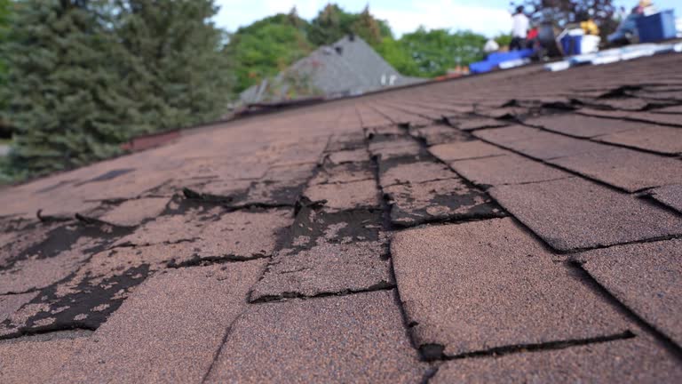 Best Sheet Metal Roofing  in Madera Acres, CA